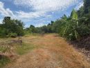 - ขายที่ดินเปล่า 100 ตร.ว. บ้านกล้วย-ไทรน้อย จ.นนทบุรี