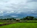 - โครงการนาทองวิว บ้านพร้าว บ้านนา วิวเขา ขายสดและผ่อน