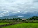 - โครงการนาทองวิว บ้านพร้าว บ้านนา วิวเขา ขายสดและผ่อน