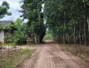 - ขายที่สวนยางติดลำห้วยแปลงสวย 39 ไร่ ใกล้สี่แยกชุมแสง และถนนสาย 344 อ.วังจันทร์ จ.ระยอง