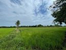 - ที่นา 7-3-08 ไร่ ใกล้หมู่บ้านและสถานีรถไฟบ้านกลับ ตำบลบ้านกลับ อำเภอหนองโดน จังหวัดสระบุรี