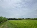- ขายที่ดินเหมาะสำหรับทำบ้าน ทำสวนและการเกษตร คลอง 11 ตำบล นพรัตน์ อำเภอ หนองเสือ ปทุมธานี
