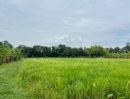 - ขายที่ดินเหมาะสำหรับทำบ้าน ทำสวนและการเกษตร คลอง 11 ตำบล นพรัตน์ อำเภอ หนองเสือ ปทุมธานี
