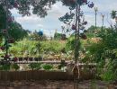 - ขายที่ดินบนเกาะเกร็ดนนทบุรี พัฒนาเป็นwellness แอนด์สปาสถานที่จัดงานแต่งงานไทยมอญ
