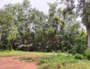- ขายที่ดิน 6 ไร่เศษ ติดคลองสุนัขหอน ติดถนนทางหลวง สส.5007 (ลาดใหญ่-สมุทรสงคราม) ต.ลาดใหญ่ อ.เมือง จ.สมุทรสงคราม