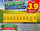 - ที่ดินคลอง8 ลำลูกกา ปทุมธานี (ห่างวัดดอนใหญ่ 900 เมตร) ไร่ล่ะ 3.9 ล้านบาท