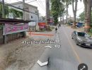  - ขายที่ดินสารภีใกล้ถนนต้นยางสารภีโฉนดพร้อมโอน