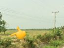 - ที่ดินแปลงใหญ่ ขนาด 18 ไร่ อ.วังทอง พิษณุโลก