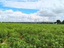  - ขายที่ดินแปลงสวย 7 ไร่กว่า วิวกังหันห้วยบง โคราช