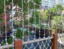 - ขายคอนโด แกรนด์ แคริเบียน Grande Caribbean Condo พัทยา