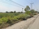 - ขายที่ดินหนองตำลึง 6 ไร่ ซอยวัดห้วยยาง ใกล้นิคมอมตะเฟส9-9กม. อ.พานทอง ชลบุรี
