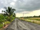 - ที่ดินผ่อนสบาย ทำบ้านสวนหรือเกษตรก็เหมาะทำเลคลอง 11 อำเภอหนองเสือ จังหวัดปทุมธานี