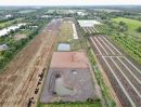 - ที่ดินผ่อนสบาย ทำบ้านสวนหรือเกษตรก็เหมาะทำเลคลอง 11 อำเภอหนองเสือ จังหวัดปทุมธานี