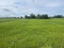 - ขายที่ดิน 328 ตร.ว. อ.ปากพลี โฉนดครุฑแดง บรรยากาศดี