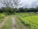 - ขายที่ดิน 328 ตร.ว. อ.ปากพลี โฉนดครุฑแดง บรรยากาศดี