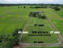 - ขายที่ดิน 328 ตร.ว. อ.ปากพลี โฉนดครุฑแดง บรรยากาศดี