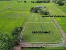 - ขายที่ดิน 328 ตร.ว. อ.ปากพลี โฉนดครุฑแดง บรรยากาศดี