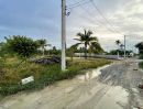  - ขายที่ดิน 100 ตร.ว. ซอยไร่ขิง 32(ซอยบางซื่อ) ถนนเพชรเกษม อำเภอสามพราน นครปฐม