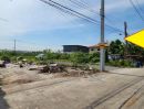- ขายที่ดินลำลูกกา-รังสิต คลอง4 ถนน ไสวประชาราษฏร์ 100 ตรว เหมาะทำโกดัง ออฟฟิศ ปลูกบ้าน ทำเลดี ใกล้แหล่งชุมชน