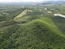 - ขายที่ดินบนเขา 51 ไร่ ต.บางม่วง อ.ตะกั่วป่า จ.พังงา วิวทะเล ใกล้หาดบางสัก