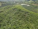 - ขายที่ดินบนเขา 51 ไร่ ต.บางม่วง อ.ตะกั่วป่า จ.พังงา วิวทะเล ใกล้หาดบางสัก