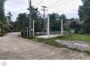  - ขายที่ดินตำบลหนองควายหางดงห่างวงเวียนพืชสวนโลก 200เมตร