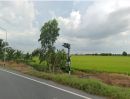 - ขายที่ดิน59ไร่2งาน14ตร.ว. พื้นที่สีเขียว หน้ากว้าง 198ม. ถนนทางหลวงชนบท อย.3049 ตำบล หลักชัย อำเภอลาดบัวหลวง พระนครศรีอยุธย