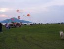 - ขาย ที่ดิน บ้าน มะนาว หวาน เขื่อน ป่า สัก ลพบุรี ใกล้จุดท่องเที่ยวนิวซีแลนด์ลพบุรี