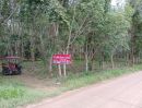  - ที่ดินสวนยาง ตำบลอ่างทอง อำเภอทับสะแก จังหวัดประจวบคีรีขันธ์ 10-1-36 ไร่