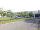 - ให้เช่าโกดังพร้อมออฟฟิศ สุขุมวิท 103 / อุดมสุข ขนาด 900 1,200 ตรม. #F405