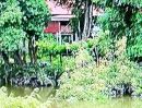 - ขายที่ดินถมแล้ว ติดแม่นำ้ลพบุรี 296 ตร.วา ตำบลเจ้าปลุก อำเภอมหาราช พระนครศรีอยุธยา