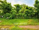 - ขายที่ดินทำเลดี ใจกลางธาตุพนม จ.นครพนม ใกล้พระธาตุพนม | ถนนชยางกูร 11 | ผังเมืองสีชมพู