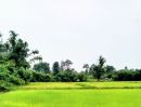 - ที่นามีโฉนด ในชุมชน ติดถนนคอนกรีต มีไฟฟ้า อ.ชำนิ บุรีรัมย์