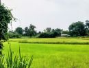 - ที่นามีโฉนด ในชุมชน ติดถนนคอนกรีต มีไฟฟ้า อ.ชำนิ บุรีรัมย์