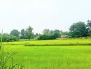 - ที่นามีโฉนด ในชุมชน ติดถนนคอนกรีต มีไฟฟ้า อ.ชำนิ บุรีรัมย์