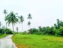 - ที่นามีโฉนด ในชุมชน ติดถนนคอนกรีต มีไฟฟ้า อ.ชำนิ บุรีรัมย์