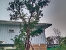  - ขายบ้านสวนสไตล์โมเดิร์น 1 ไร่ (400 ตร.ว.) อ.เสนา อยุธยา ติดถนน 2 ด้าน พร้อมระบบโซล่าเซลล์ 5 kW + จุดชาร์จ EV