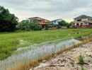  - ขายขาดทุน ที่ดินปทุมธานี แปลงสวยติดถนนหลายด้าน