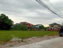  - ขายขาดทุน ที่ดินปทุมธานี แปลงสวยติดถนนหลายด้าน