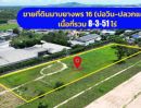  - ขายที่ดินปลวกแดงสีม่วงลาย 8 ไร่ ซ.มาบยางพร16 ใกล้ถนนเส้น3013-150เมตร อ.ปลวกแดง ระยอง