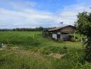  - ขายทีดิน ในเมือง เหมาะทำสวนเกษตร ราคา ไม่แพง