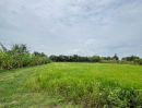 - ขายที่ดินสร้างบ้านสวน คลอง 11 หนองเสือ ปทุมธานี