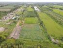 - ขายที่ดินสร้างบ้านสวน คลอง 11 หนองเสือ ปทุมธานี