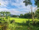  - ขายที่ดิน 4 ไร่ 36 ตร.ว. ป่าแมต เมืองแพร่ โฉนดพร้อมโอน