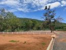 - ที่ดินเขาใหญ่ หมูสี วิวเขาล้อมรอบ น้ำไฟพร้อม