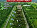 - ที่ดินสวย คลอง 9 ปทุมธานี ทำเลดี ถมแล้วพร้อมสร้าง ตำบล บึงชำอ้อ อำเภอ หนองเสือ ปทุมธานี