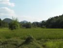  - ขายที่ดินพร้อมสิ่งปลูกสร้าง โอบล้อมด้วยวิวภูเขา กลางหุบเขาบ้านพุบอน