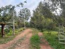 - ขายที่ดิน สวนทุเรียน ทำเลดี อ.เมือง จ.ปราจีนบุรี