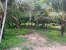 - ขายที่ดิน สวนทุเรียน ทำเลดี อ.เมือง จ.ปราจีนบุรี