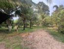 - ขายที่ดิน สวนทุเรียน ทำเลดี อ.เมือง จ.ปราจีนบุรี